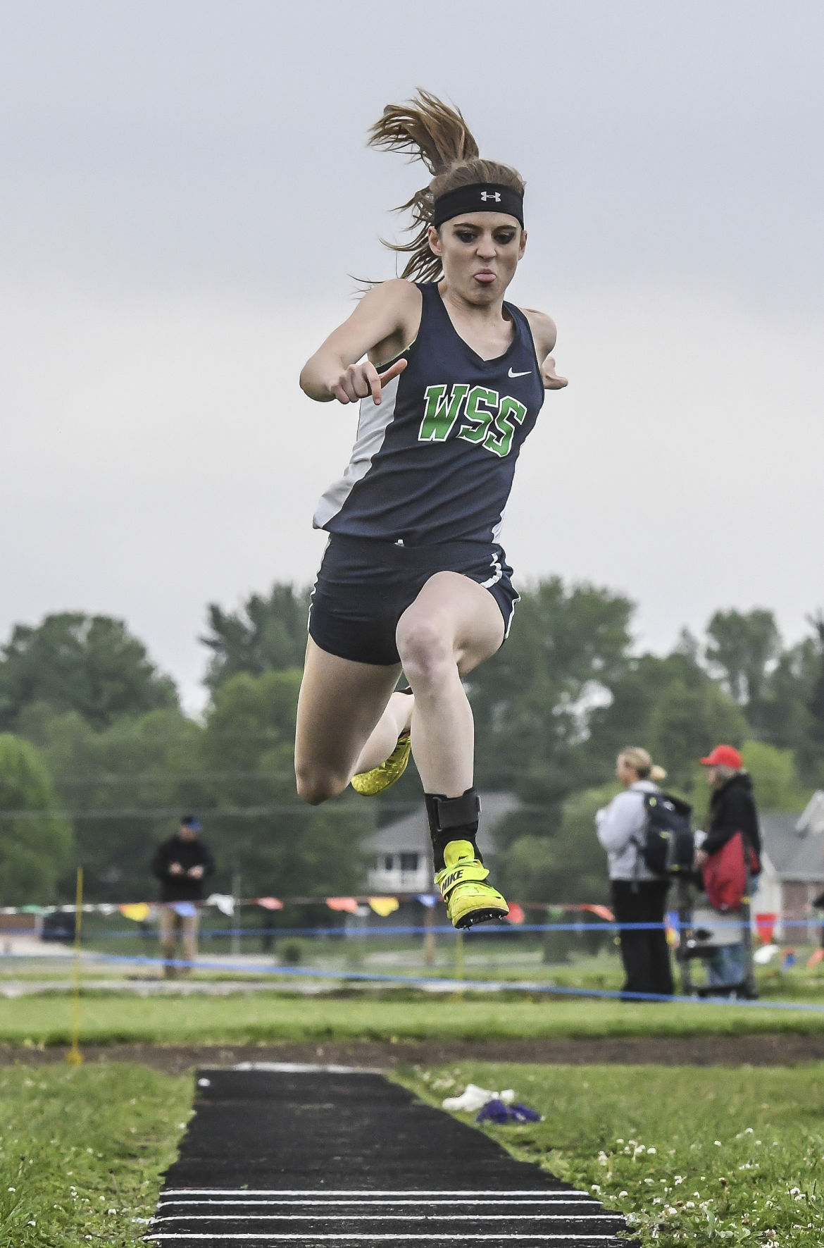 Sectional decgal 12 051217.JPG